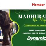 Heartwarming Accomplishment: Madhubala’s Journey